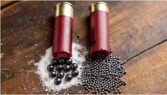 Premium Steel Shot for Shotshell 