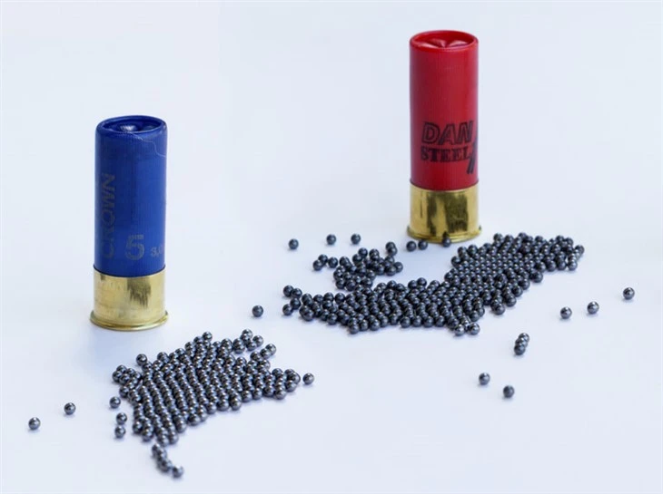 steel shot